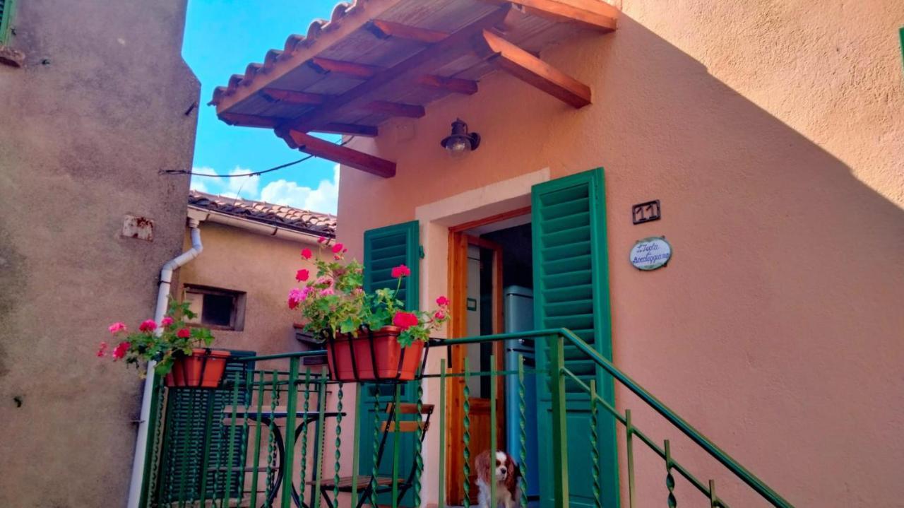 Appartement L'Isola Di Boccheggiano Extérieur photo